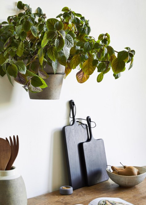 Gardenista.com image
Garden resources