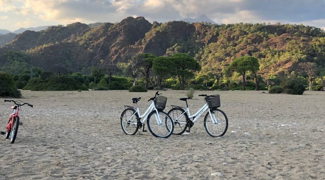 Bikes on a beach