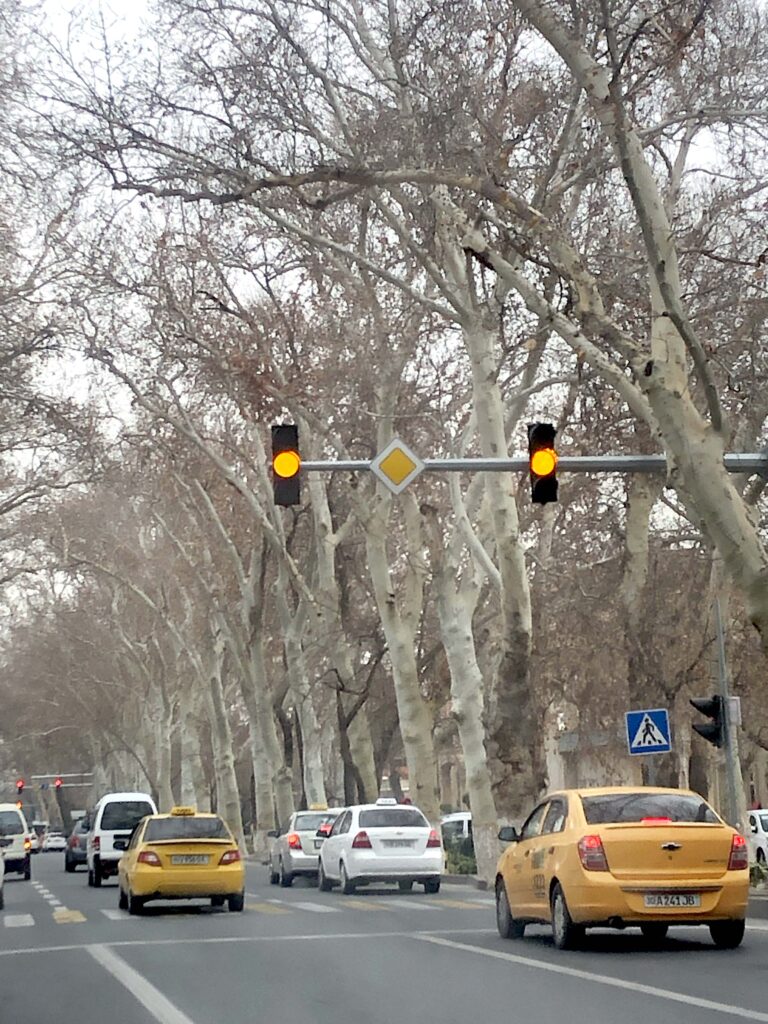 чинары-Самарканд